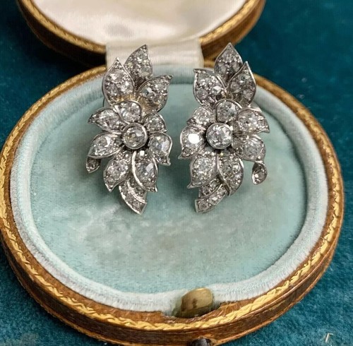 Gorgeous fancy stud - gorgeous,