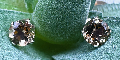 Champagne simulated diamond - champagne,